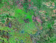Texas Satellite Image
