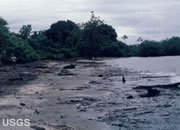 tidal flat