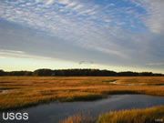 tidal marsh