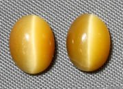 Tiger's-eye