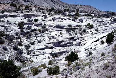 Topaz Mountain Rhyolite
