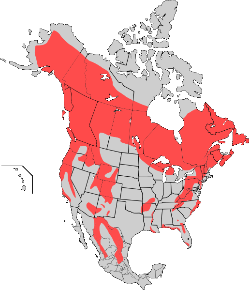 File:American Black bear map.png